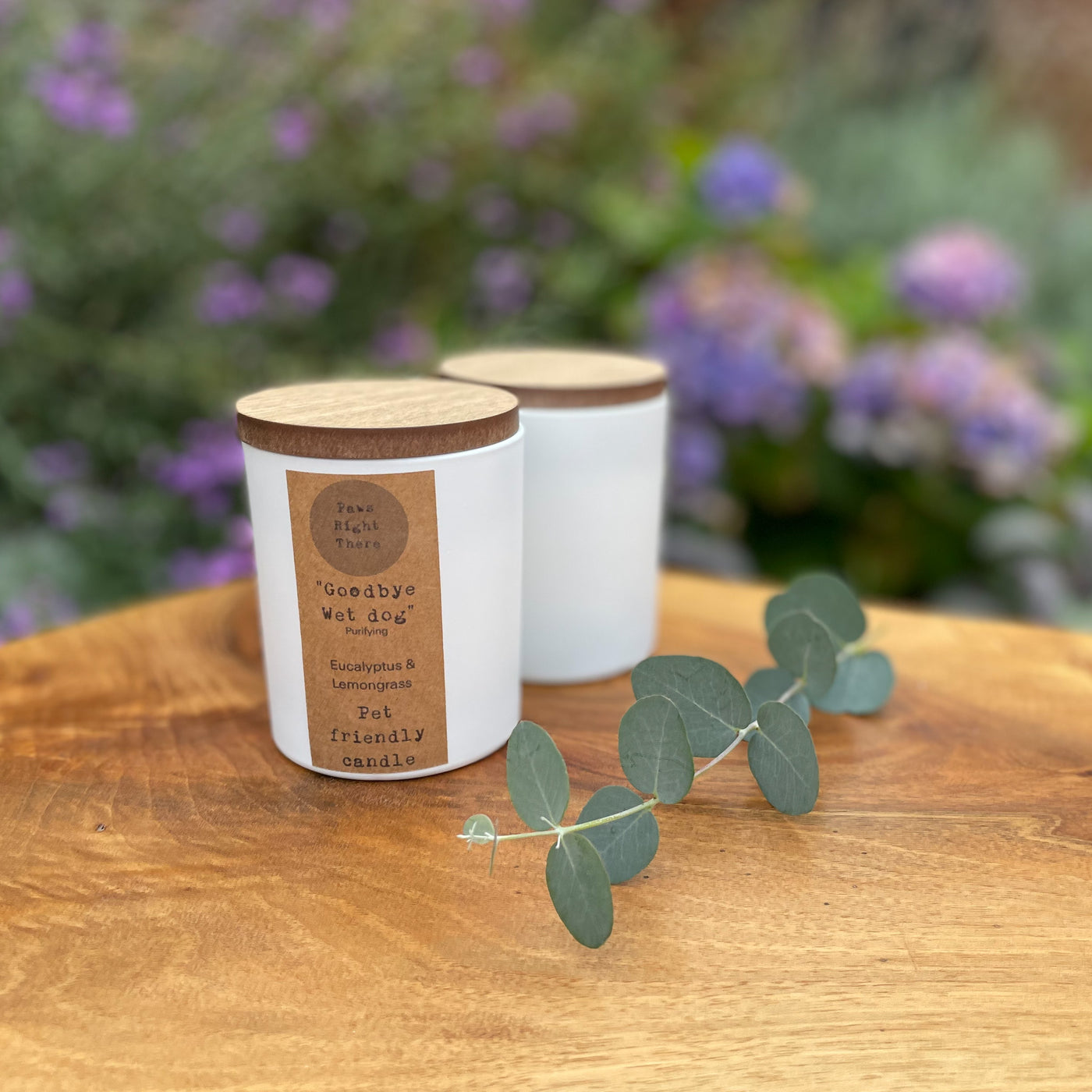 Goodbye Wet Dog - Pet Friendly Candle