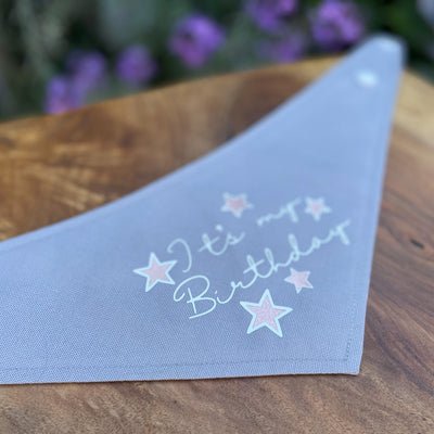 "It's my Birthday" vinyl print  dog bandana.