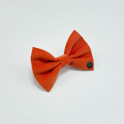 Orange Corduroy Collar/Lead/Bow/Poop Bag Set