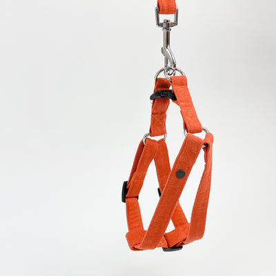 orange corduroy step-in dog harness