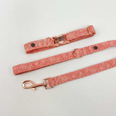 Liberty peach Floral Dog Collar and Lead.