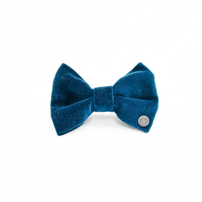 Luxury Dark Teal Velvet Dog Bow Tie from the front