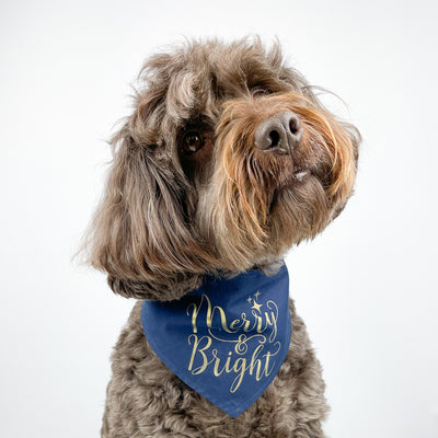 Albie Dog wearing Merry and Bright Navy Christmas Dog Bandana