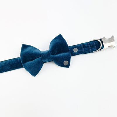 Luxury Dark Teal Velvet Dog Bow Tie on matching collar 