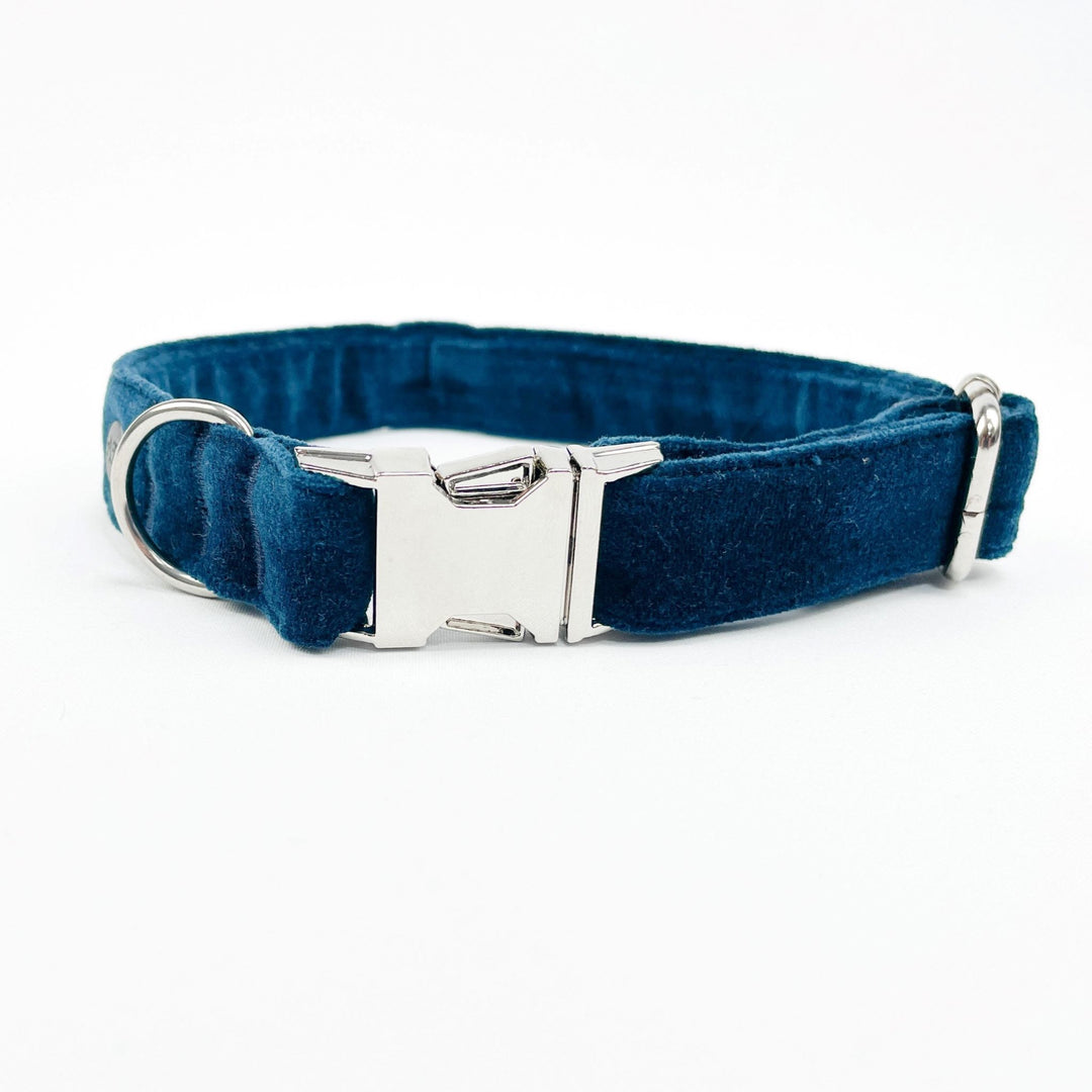 Dark teal dog collar 2025