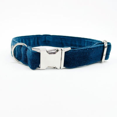 Luxury Dark Teal Velvet Dog Collar from the front