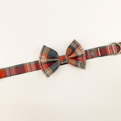 Matching Grey and Orange Autumn Check Dog Bow Tie and Collar.