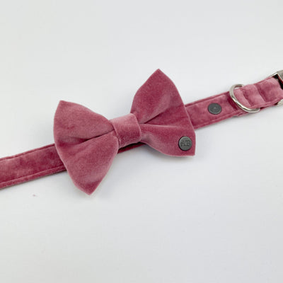 Luxury Blush Pink Velvet Dog Bow Tie shown on matching dog collar.