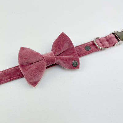 Luxury Blush Pink Velvet Dog Collar teamed with matching dog bow tie.