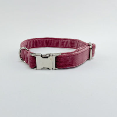 Luxury Blush Pink Velvet Dog Collar.