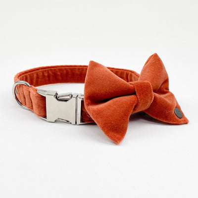 Luxury Burnt Orange Velvet Dog Collar alongside matching dog bow tie.