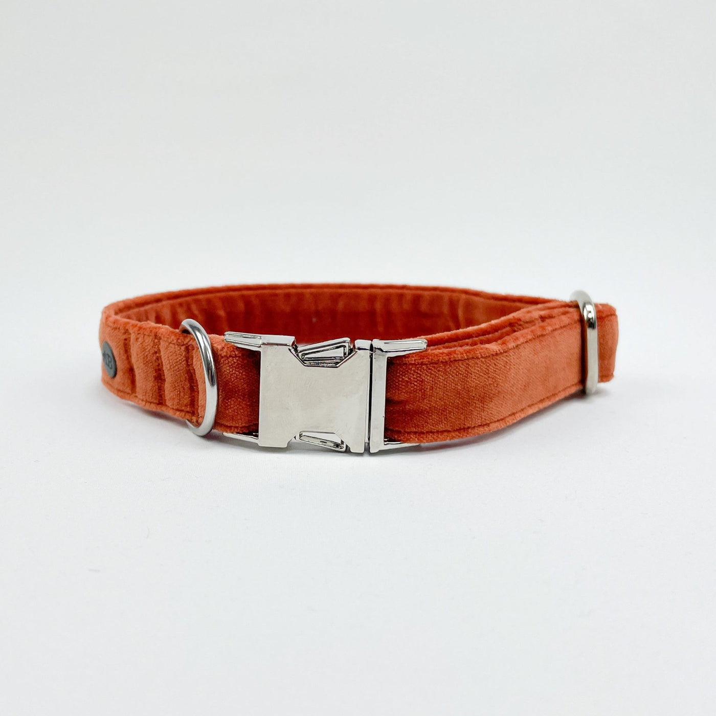 Luxury Burnt Orange Velvet Dog Collar view from front. 