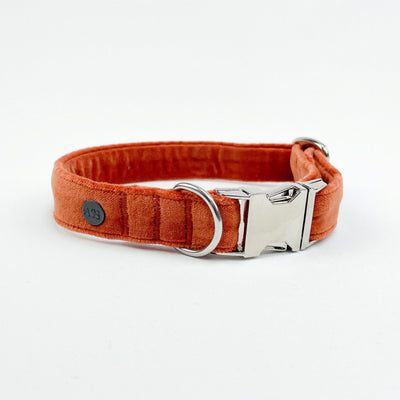 Luxury Burnt Orange Velvet Dog Collar from the side.