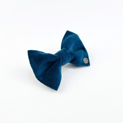 Luxury Dark Teal Velvet Dog Bow Tie from the side.