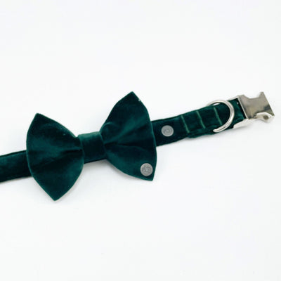 Luxury Emerald Green Velvet Dog Dickie Bow on matching collar shown unclipped 