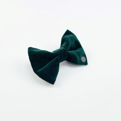 Luxury Emerald Green Velvet Dog Bow Tie from side.