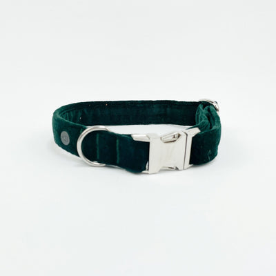 Luxury Emerald Green Velvet Dog Collar.