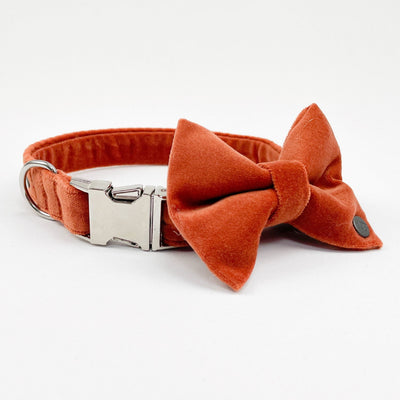 Luxury Orange Velvet Dog Bow Tie alongside matching collar.