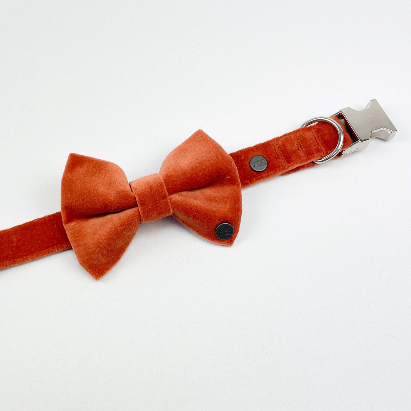 Luxury Orange Velvet Dog Bow Tie and collar.