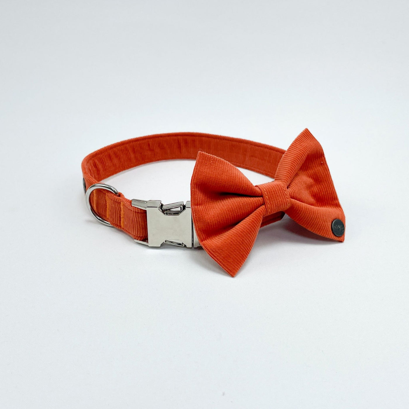 Orange Corduroy Dog Bow Tie on matching Collar.