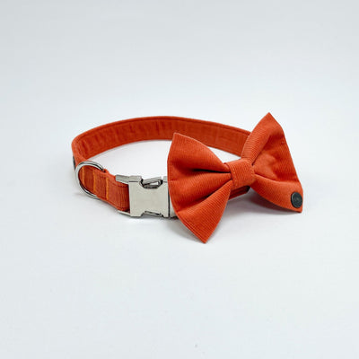 Orange Corduroy Dog Bow Tie on matching Collar.