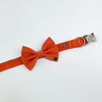 Orange Corduroy Dog Bow Tie on matching collar.