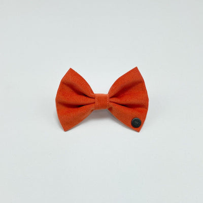 Orange Corduroy Dog Bow Tie.