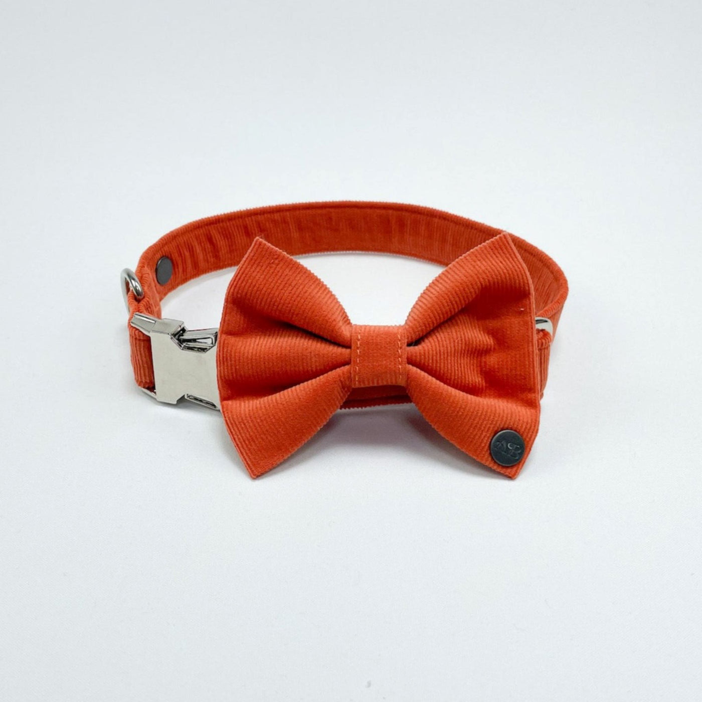 Orange Corduroy Dog Bow Tie with matching collar, buckle clipped.