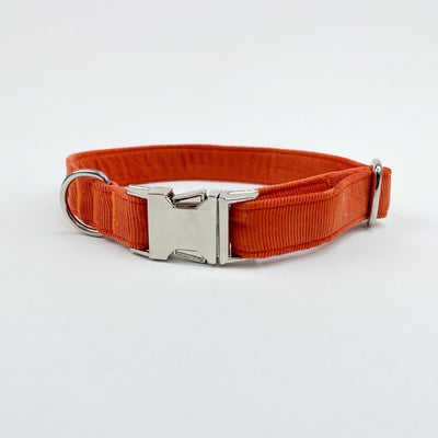 Orange Corduroy Dog Collar with chrome hardware side view.