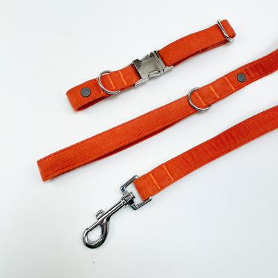 Orange Corduroy Dog Collar alongside matching orange corduroy lead.
