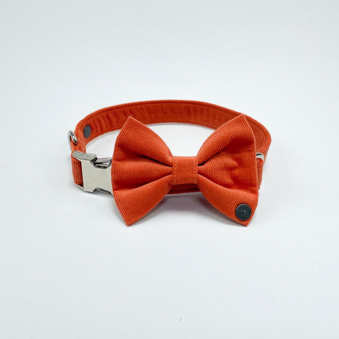 Orange Corduroy Dog Collar shown with matching dickie bow.