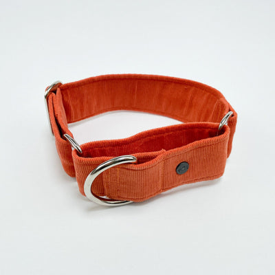 Orange Corduroy Martingale Collar with chrome hardware shown from above. 