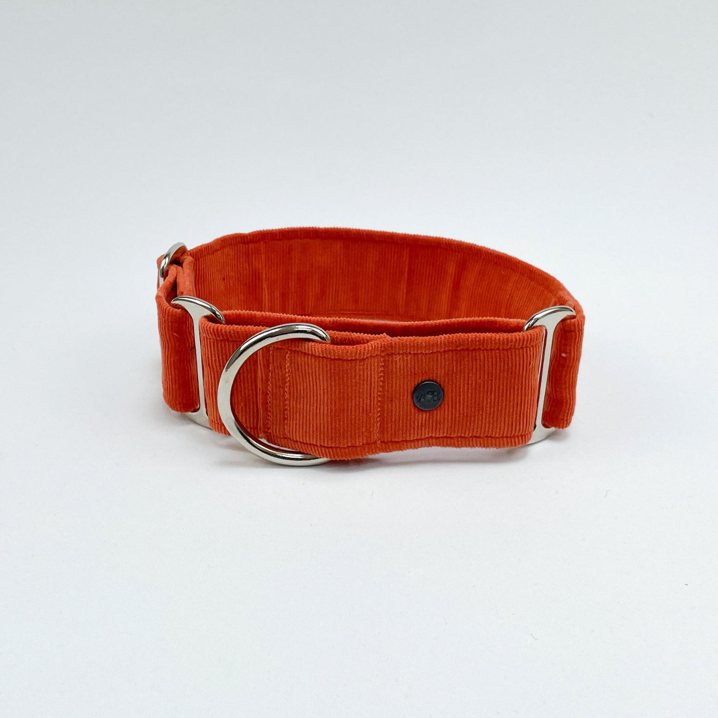 Orange Corduroy Martingale Collar from the front.