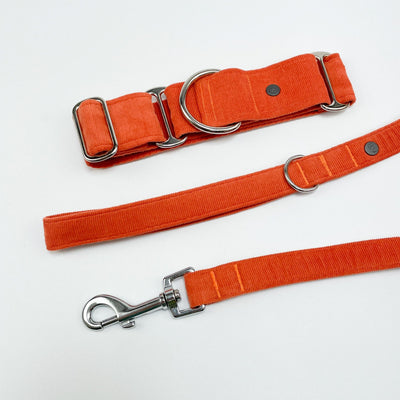 Orange Corduroy Martingale Collar alongside matching lead available. separately. 