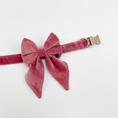 luxury pink velvet sailor bow pictured on the matching collar
