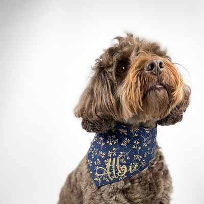 Albies Dog wearing personalised Navy Mistletoe dog bandana
