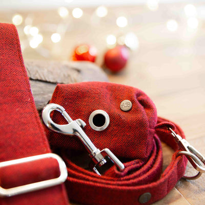 Cranberry Herringbone poop bag holder with Christmas lights
