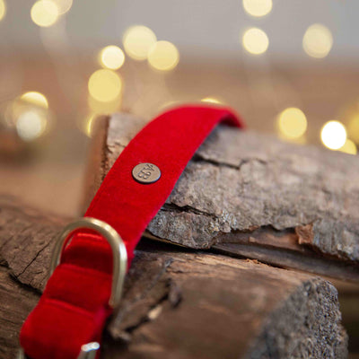 Red velvet collar with lights