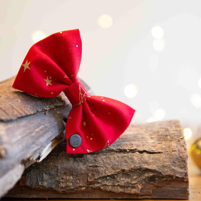 Red Christmas Star dog bow tie with Christmas lights