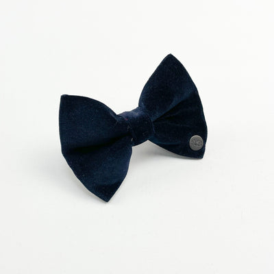 Navy velvet bow tie