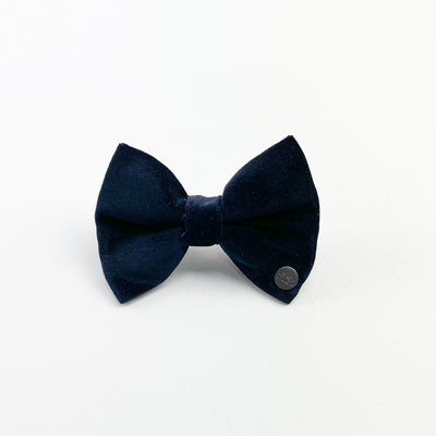 Navy velvet bow tie