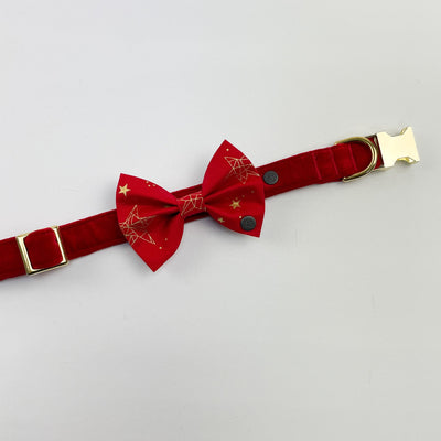 Red Christmas Star dog bow tie on red velvet collar