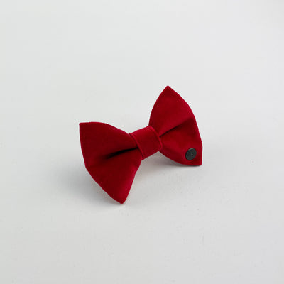 Red velvet dog bow tie