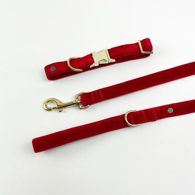 luxury red velvet dog collar and lead with gold fittings