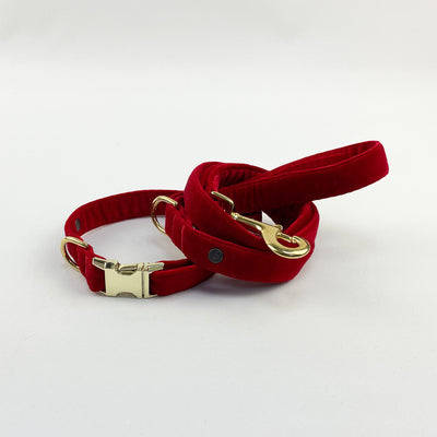 Red velvet dog lead and collar