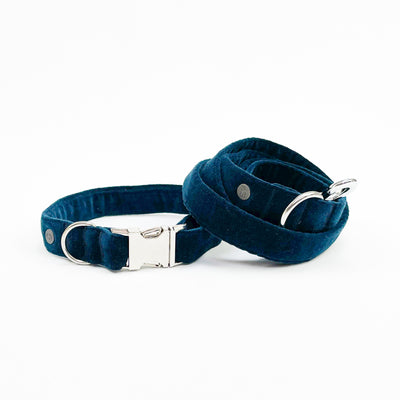 Luxury Teal velvet collar and lead