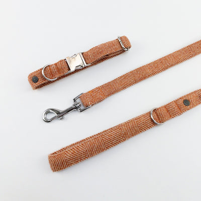  Burnt Umber Herringbone Tweed collar and lead