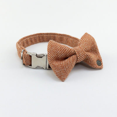 Luxury Burnt Umber Herringbone Tweed Dog Collar with matching bow tie.