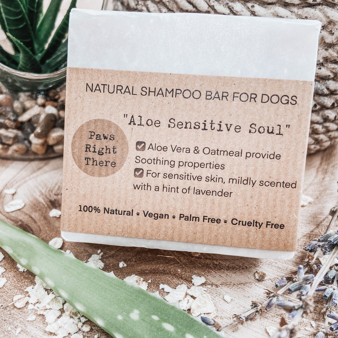 aloe vera plant on dogs skin Skin Soothing Natural Dog Shampoo Bar – albies-boutique