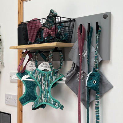 Colourful dog accessories organised on a grey, large single-rail dog lead station with pine shelf and matt black fixings.